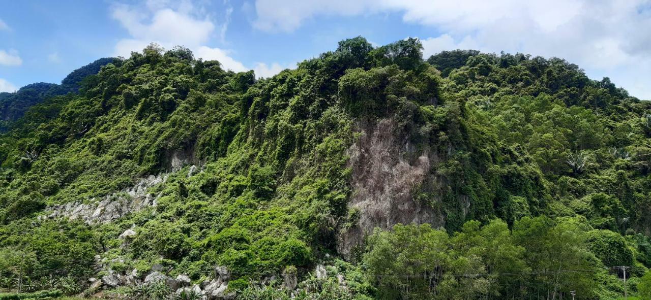 Phong Nha Bolero Bungalow Exteriör bild