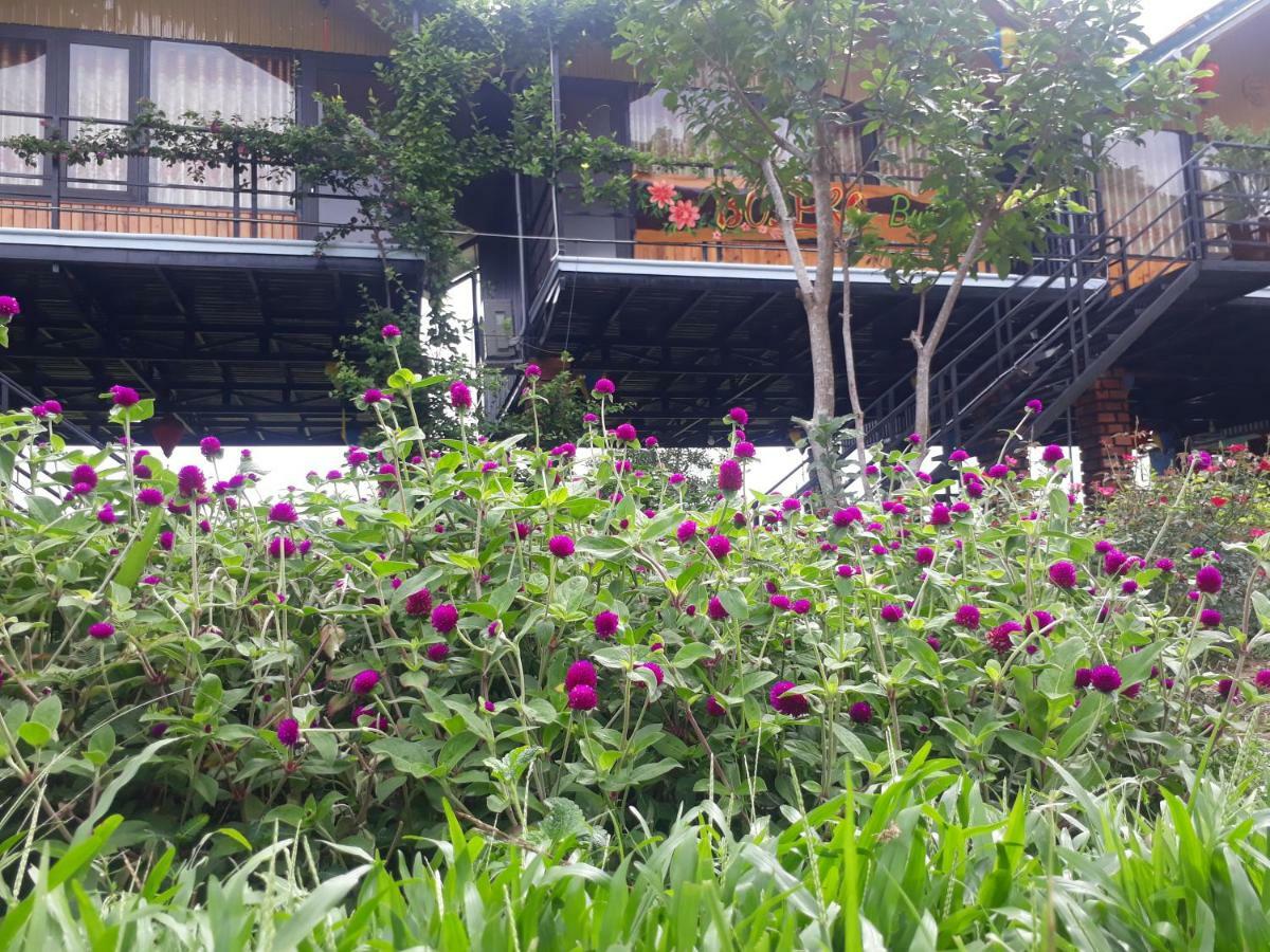 Phong Nha Bolero Bungalow Exteriör bild